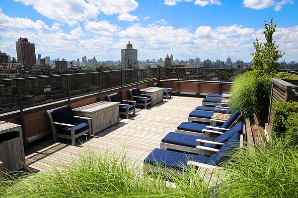 Studio, 1 bath, $4,000, Unit 15S