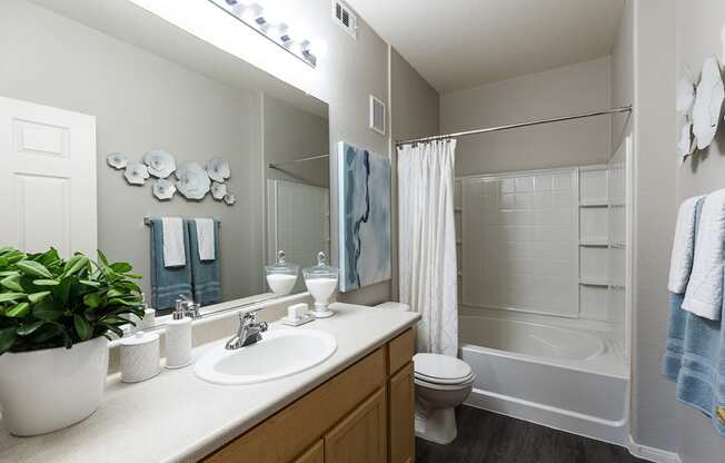 Bathroom vanity and shower