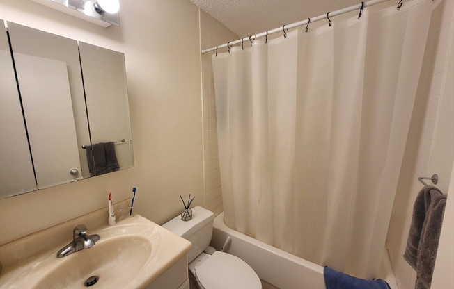 Studio, 1 bath, 500 sqft, $2,500, Unit 709