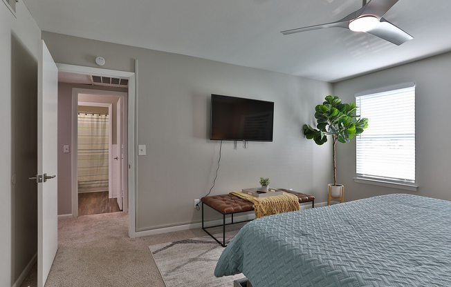 Cozy bedroom with carpet