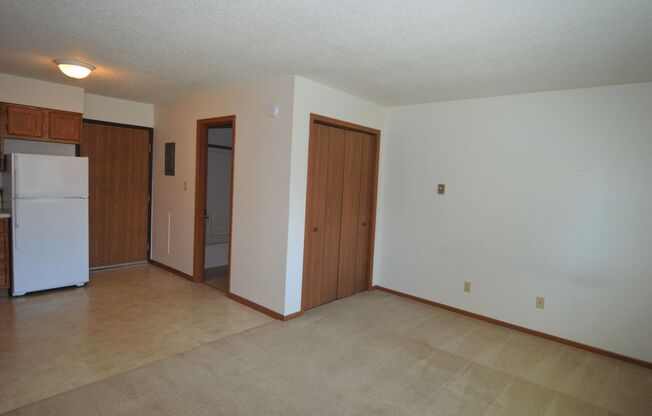 Studio, 1 bath, 328 sqft, $455, Unit 222