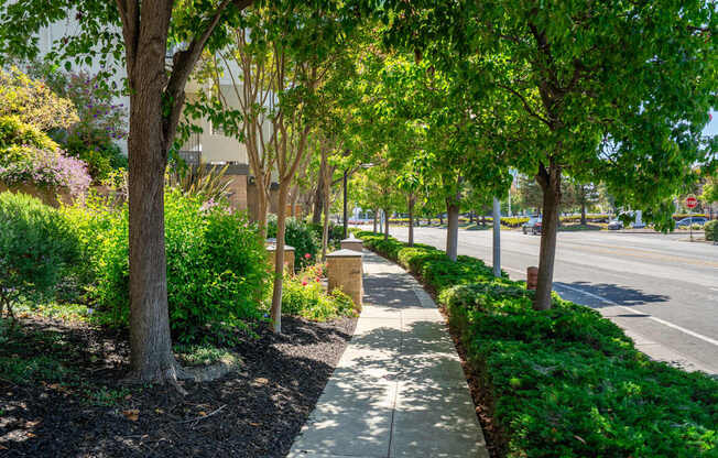 A sidewalk runs along the edge of a tree-lined street.