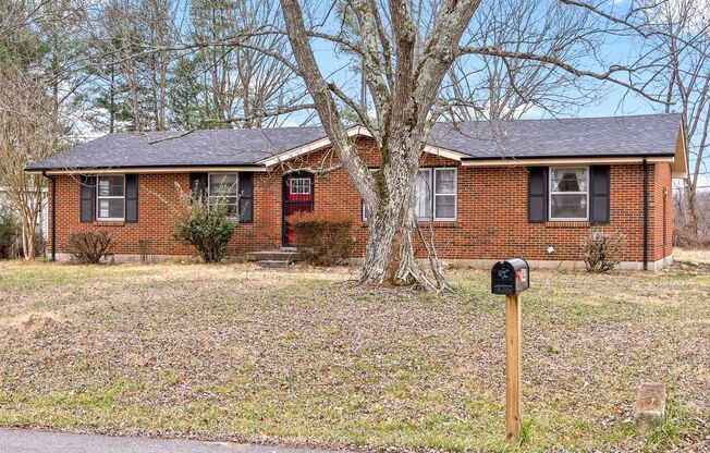 3 Bedroom 1 1/2 Bath Home For Rent Near Madison Street!