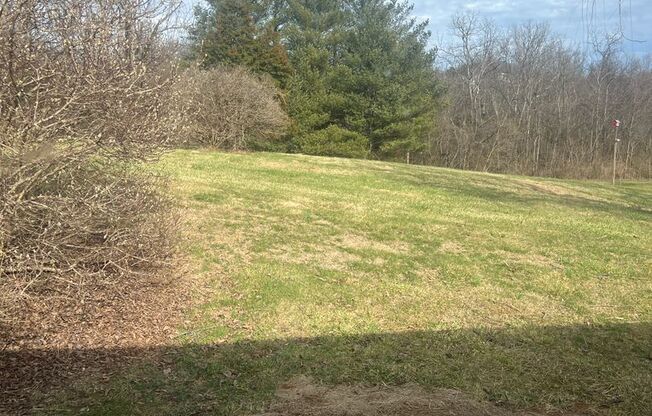 ONE LEVEL BRICK RANCHER WITH EXTRA LARGE LOT