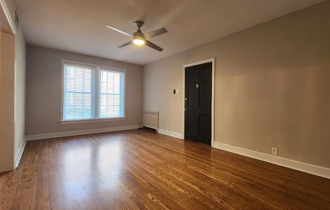 1 bed, 1 bath, 765 sqft, $1,595