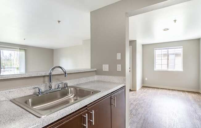 a kitchen with a sink and a window