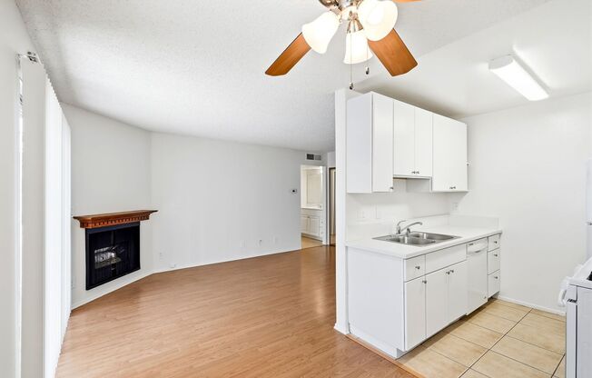 CAMARILLO10845