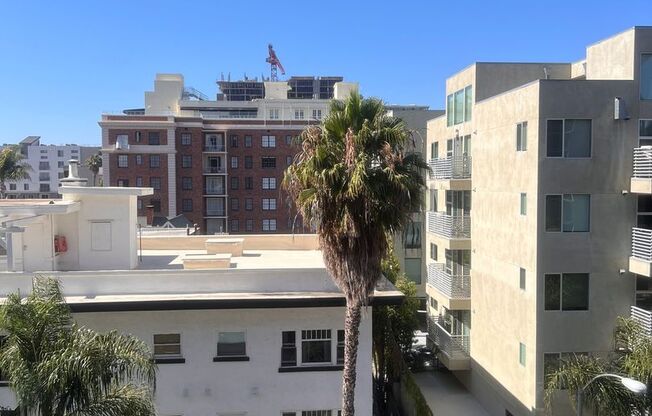 1 bed, 1 bath, 478 sqft, $2,495, Unit 604