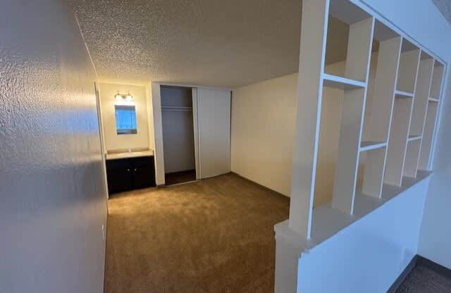 A room with a carpeted floor and closet.