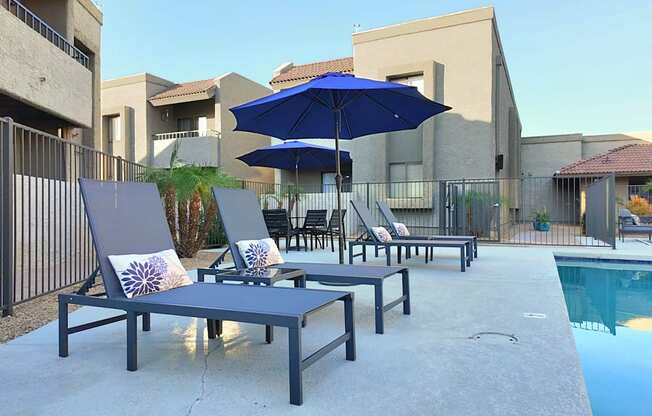 Pool Lounge Area at Olive East Apartment in Gilbert Arizona