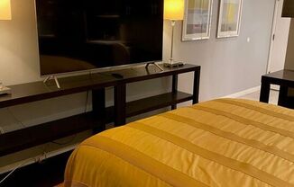 Studio, 1 bath, 450 sqft, $2,200, Unit 101