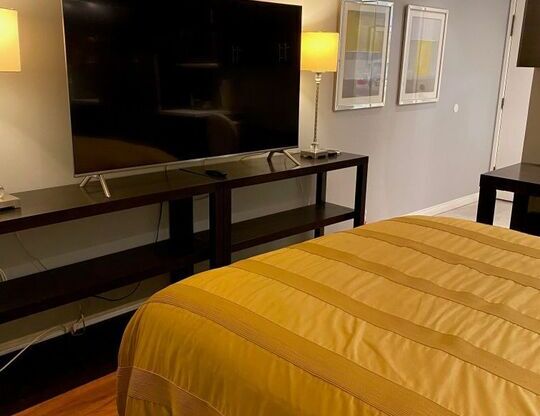 Studio, 1 bath, 450 sqft, $2,200, Unit 101