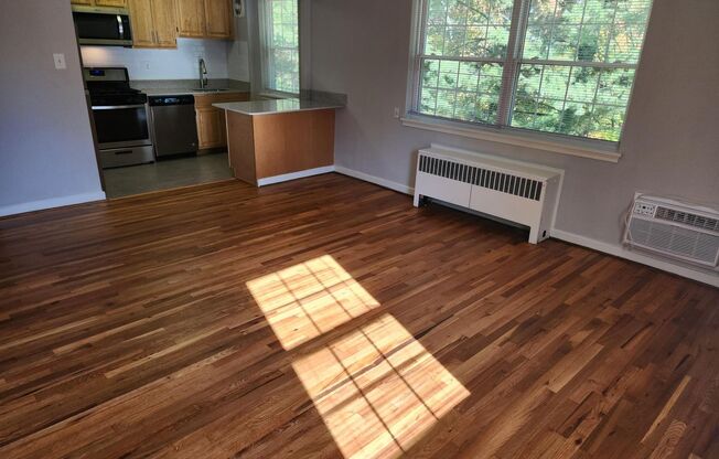 1 bed, 1 bath, 663 sqft, $2,050, Unit D-16