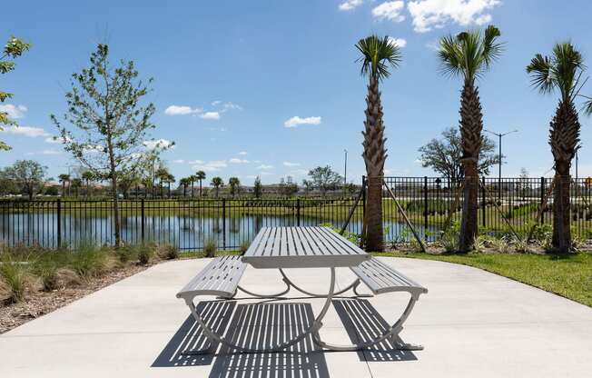 a picnic table near palm trees and the pond at Lake Nona Concorde