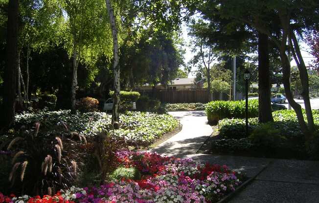 Wooded Pathway