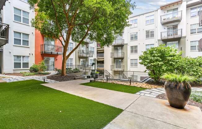 A tree in a courtyard of apartment buildings.