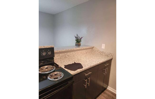 3 beds, 2 baths, 998 sqft, $1,310