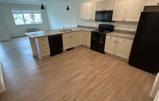 1633 Windrow Dr- Flanders Mill