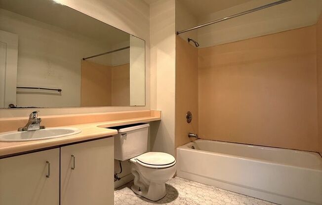 1 bed, 1 bath, 504 sqft, $1,425, Unit 207