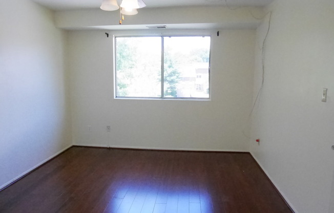 1 bed, 1 bath, $1,275