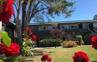 Welcome to Midtown Apartments