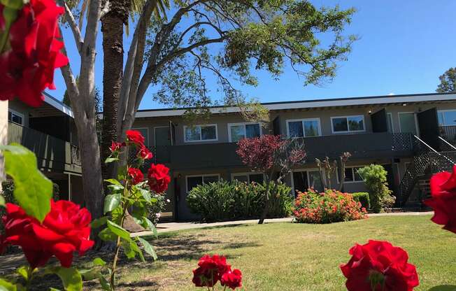 Welcome to Midtown Apartments