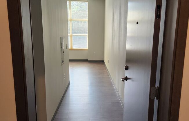 Studio, 1 bath, 397 sqft, $1,450, Unit 114