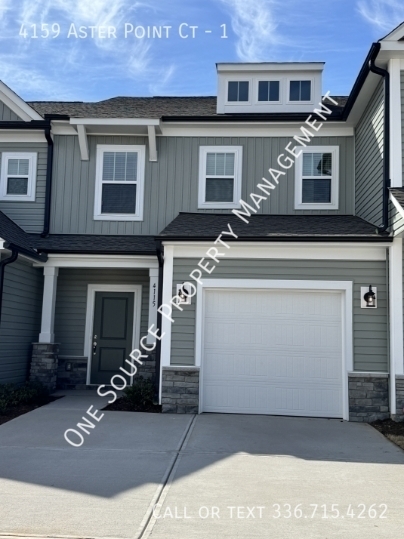 4159 ASTER PT CT