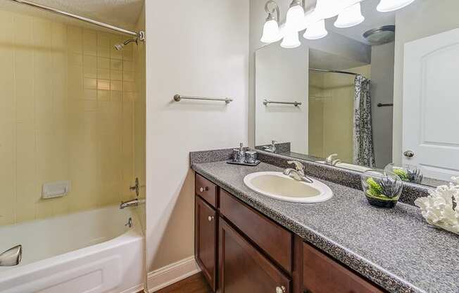Signature Series Guest Bathroom at Somerset Lakes