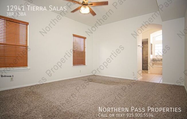 12941 TIERRA SALAS
