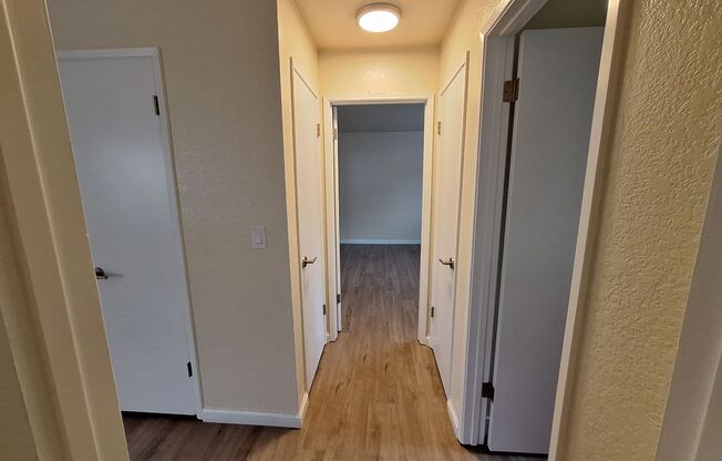 2 beds, 1 bath, $2,595, Unit 2