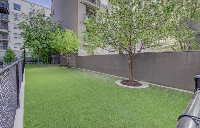 a yard with green grass and trees and a fence