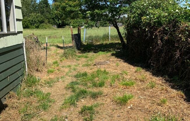 FREE FIRST MONTH'S RENT!!! Stunning 1 Bed, 1 Bath House in South Corvallis!