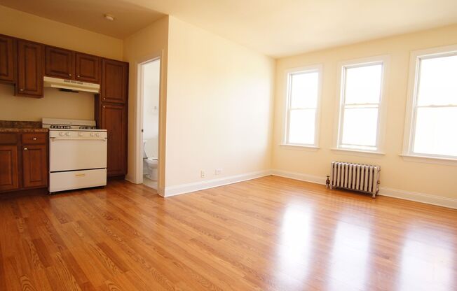 Studio, 1 bath, 347 sqft, $1,250, Unit 405