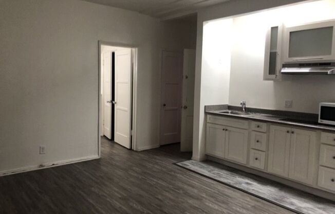 Studio, 1 bath, 298 sqft, $1,500, Unit 101