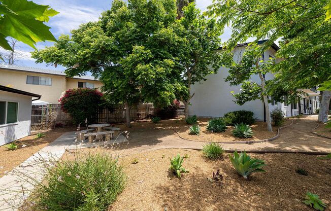 Lone Palm Terrace