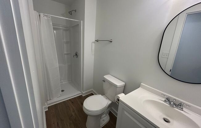 One Level Renovated Home w/3 Bedrooms & Baths in Raleigh