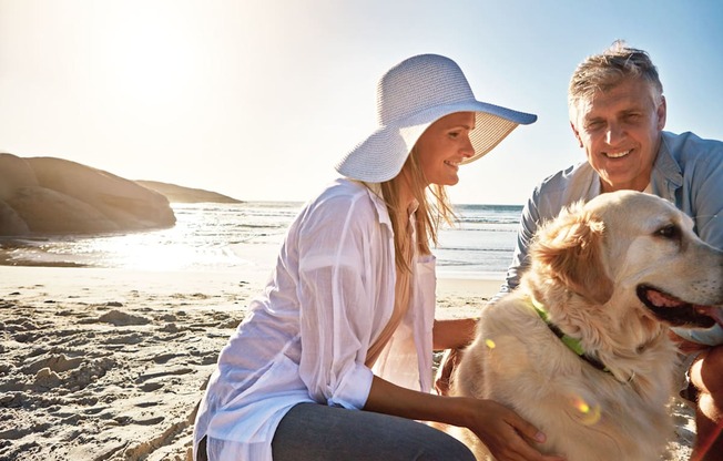 a man and a woman sitting on the beach with a dog