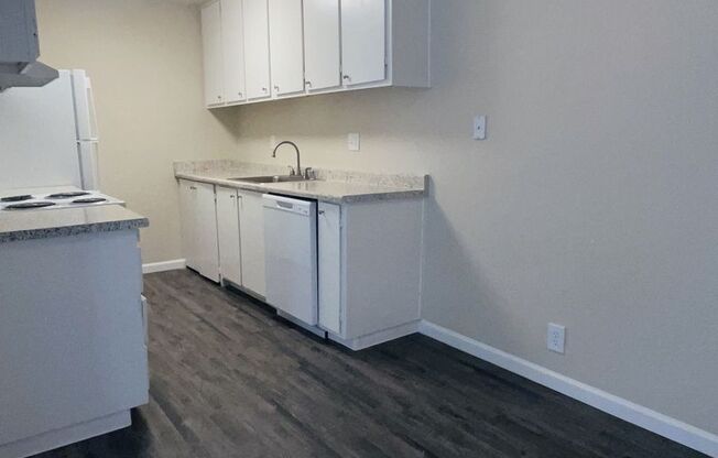 1 bed, 1 bath, 660 sqft, $1,505, Unit 81
