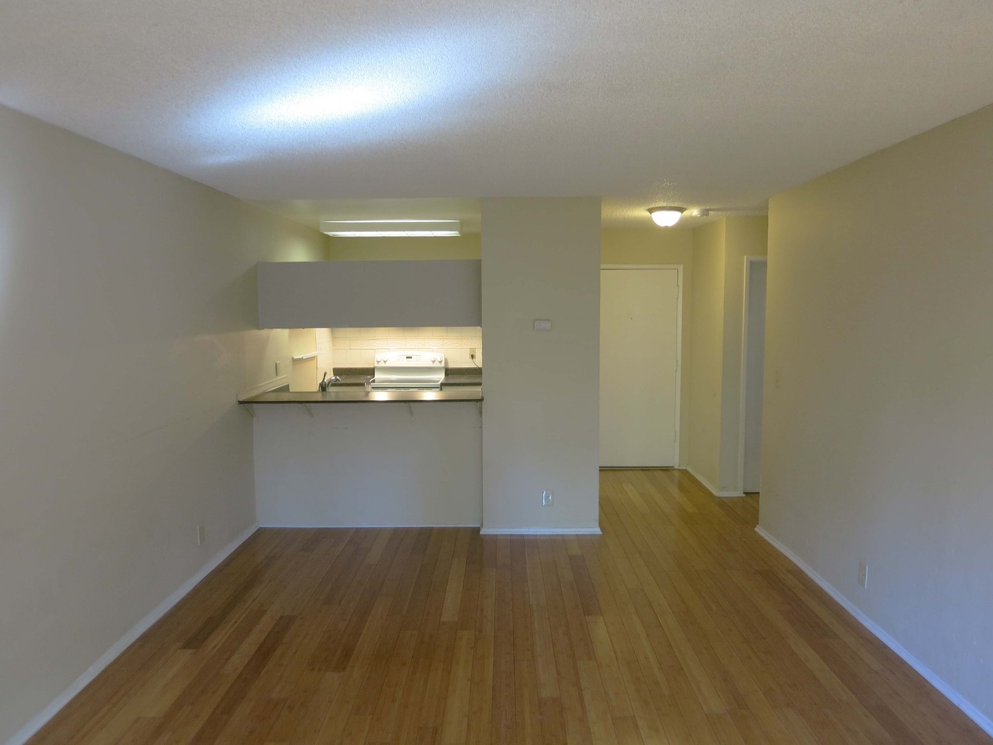 1 bedroom 1 bath condo in heart of Silicon Valley.