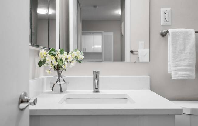 a bathroom with a sink and a mirror