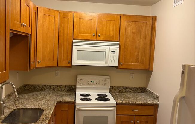 Studio, 1 bath, 454 sqft, $1,545, Unit 308