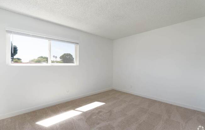 A room with a carpeted floor and a window letting in sunlight.