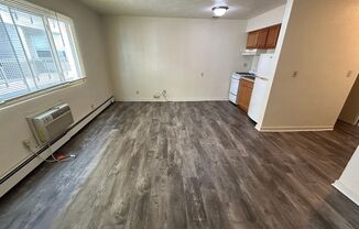 Studio, 1 bath, $750, Unit 317