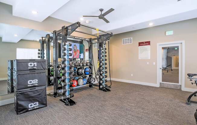 A gym room with a weight rack, a fan, and a row of exercise balls.