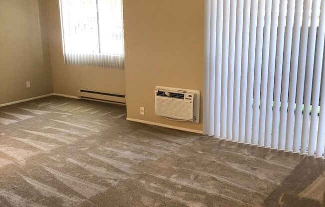 Studio, 1 bath, 500 sqft, $2,125, Unit 101