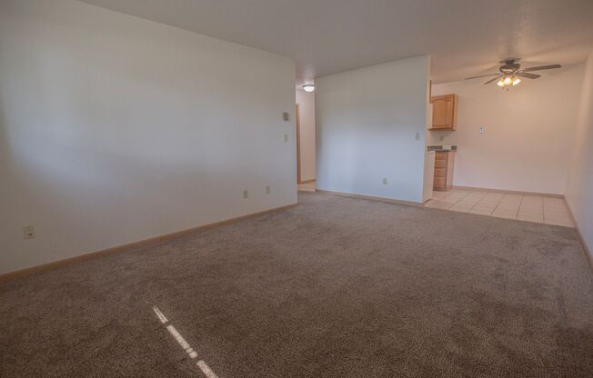 1 bed, 1 bath, 565 sqft, $650, Unit 2502-104