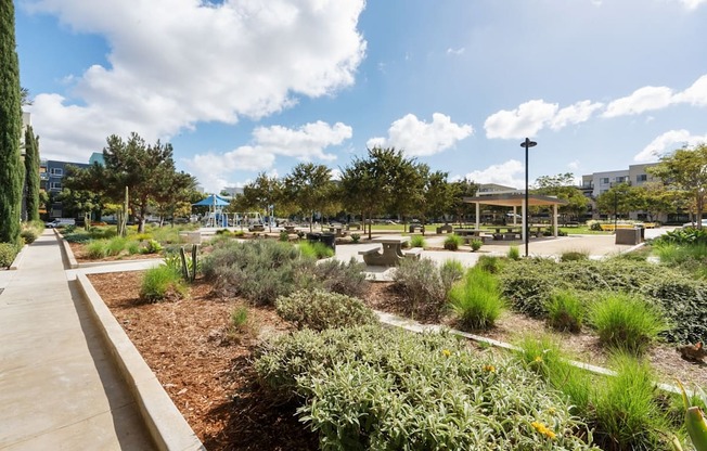 A garden with a variety of plants and a walking path.