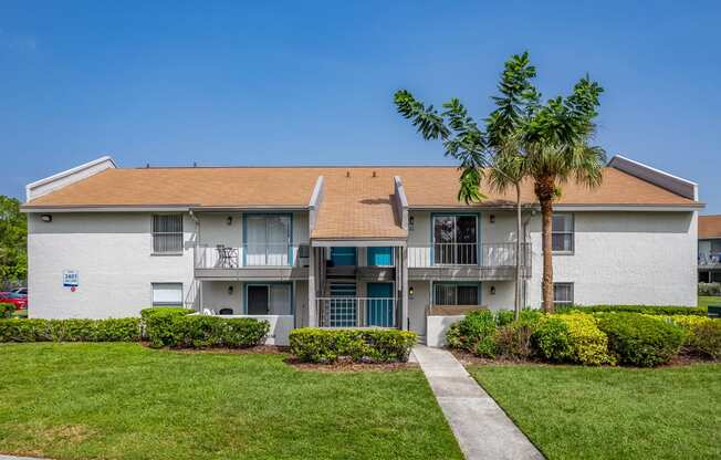 a white house with a palm tree in front of it