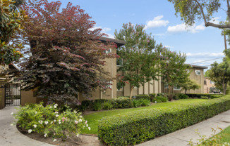 Pearson Apartments 314 Pearson Avenue, Anaheim, CA 92802